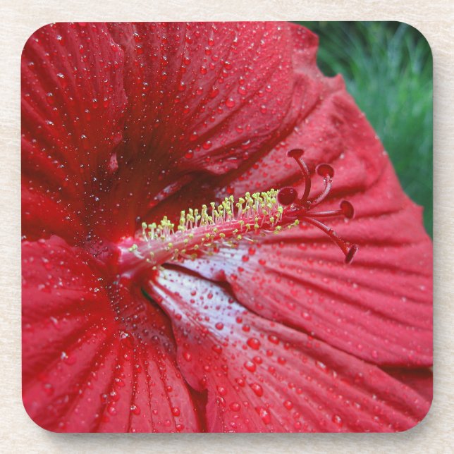 Red Hibiscus Flower With Raindrops Photo Coaster (Front)