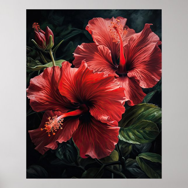 Red Hibiscus Flowers Art Print Poster (Front)