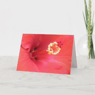 Red Hibiscus Greeting Card