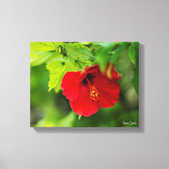 Red Hibiscus Hawaii Tropical Flower Canvas Print (Front)
