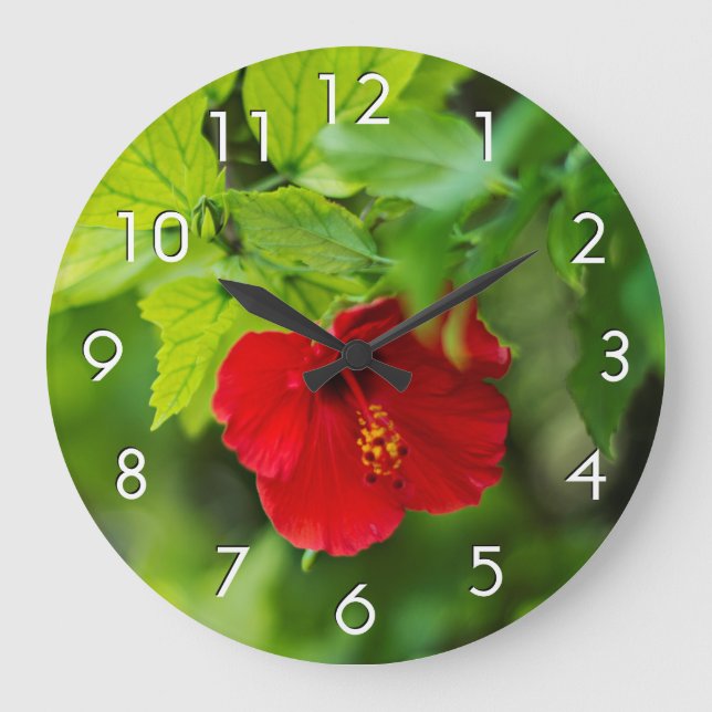 Red Hibiscus Hawaii Tropical Flower Large Clock (Front)