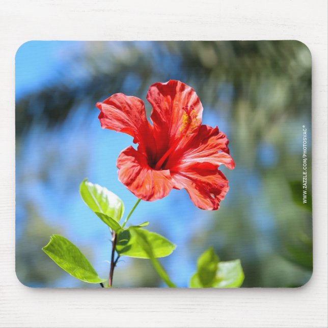 Red Hibiscus Mouse Mat (Front)