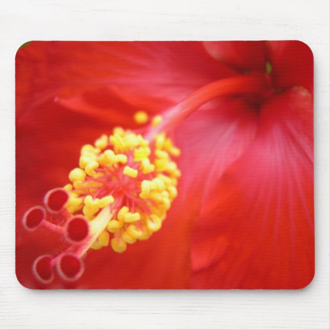 Red Hibiscus Mousepad (Front)