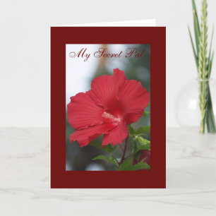 Red Hibiscus, My Secret Pal Card