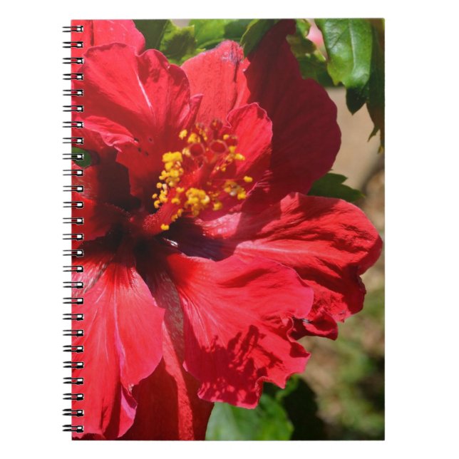 Red Hibiscus Notebook (Front)