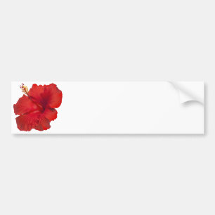 Red Hibiscus on White - Customised Template Bumper Sticker