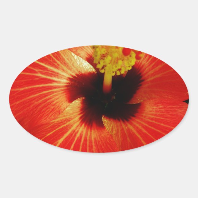 Red Hibiscus Oval Sticker (Front)