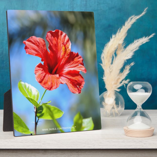 Red Hibiscus Plaque (Side)