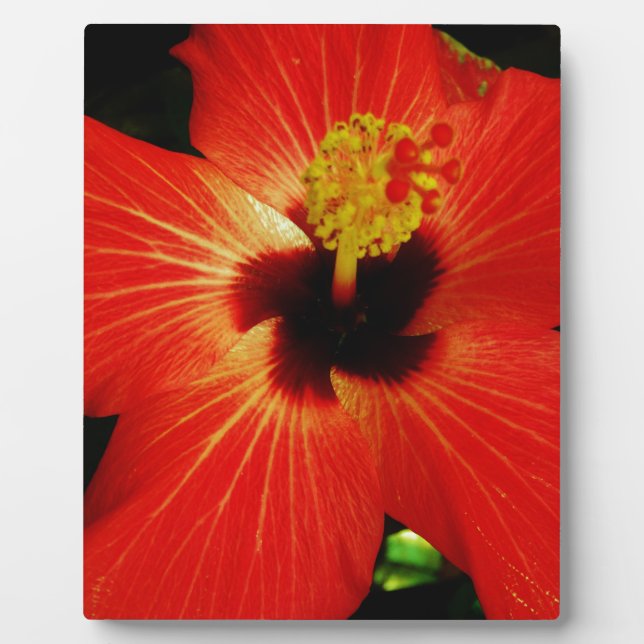 Red Hibiscus Plaque (Front)