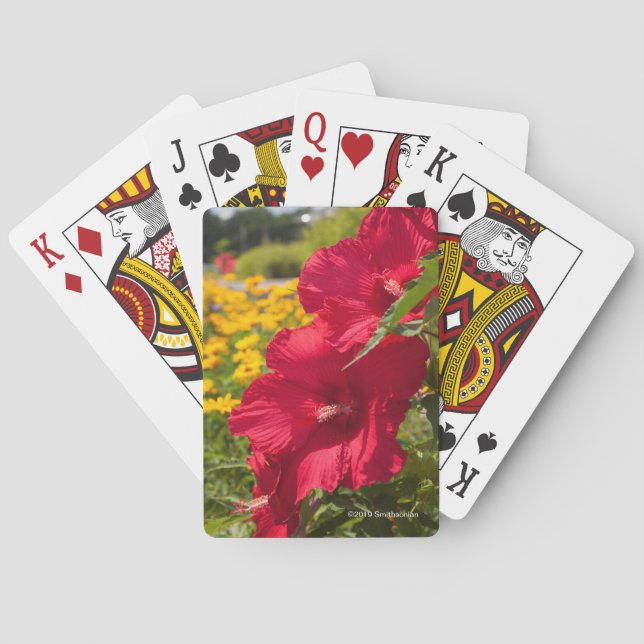 Red Hibiscus Playing Cards (Back)