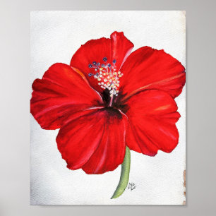 Red Hibiscus Premium Canvas Poster