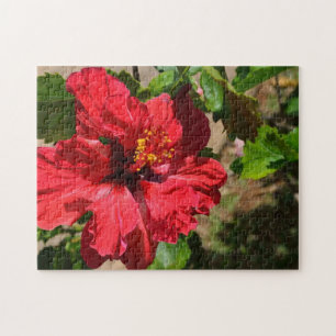 Red Hibiscus Puzzle