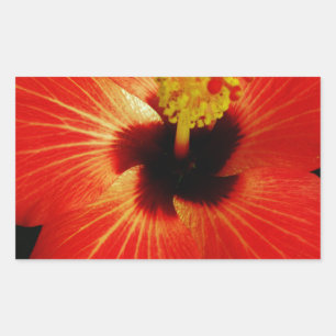 Red Hibiscus Rectangular Sticker