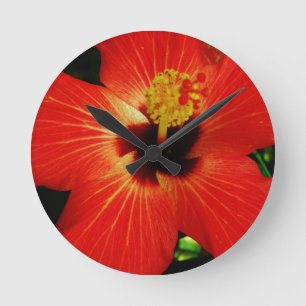 Red Hibiscus Round Clock
