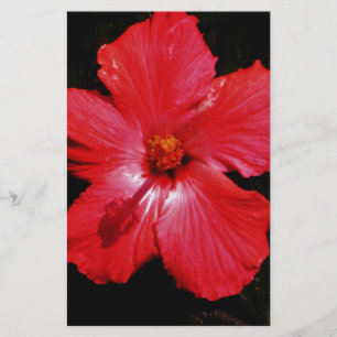 Red Hibiscus Stationery