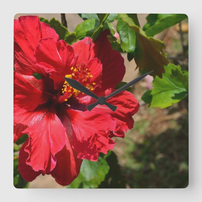 Red Hibiscus Wall Clock (Front)