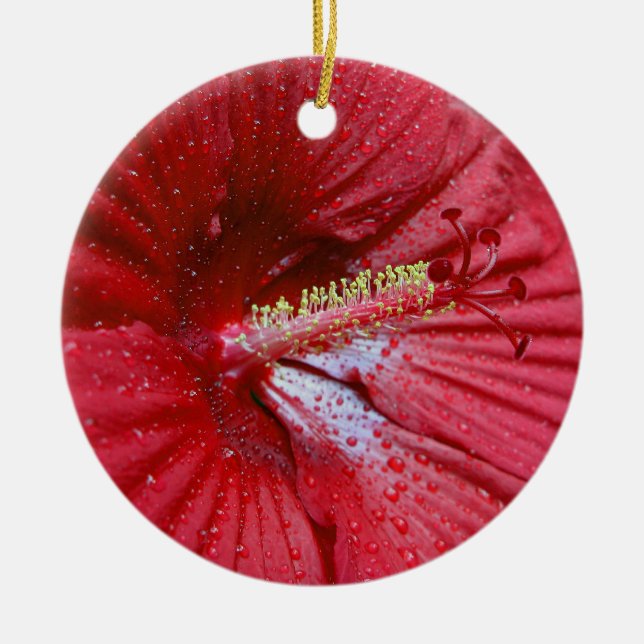 Red Hibiscus With Raindrops Ceramic Tree Decoration (Front)