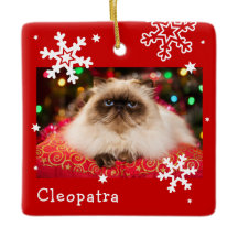 Red Holiday Pet Photo Snowflake