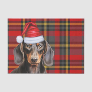 Red Holiday Plaid Smooth Coat Dachshund Christmas Tissue Paper