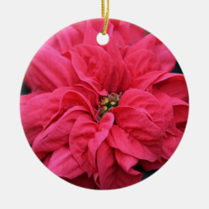 Red Holiday Poinsettia Ornament