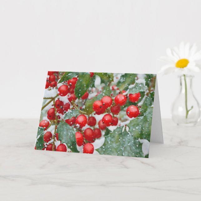 Red Holly Berries in the Snow Christmas Holiday Card (Small Plant)