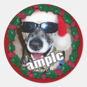Red Holly Frame for your Christmas Photo! Classic Round Sticker