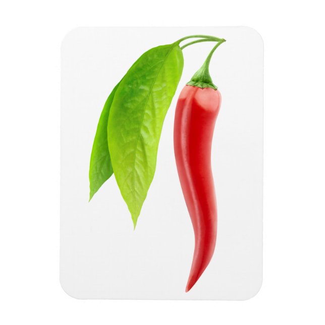Red hot chilli pepper magnet (Vertical)