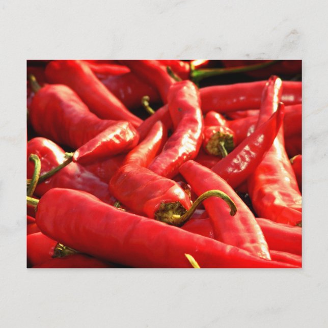 Red hot Chilli Postcard (Front)