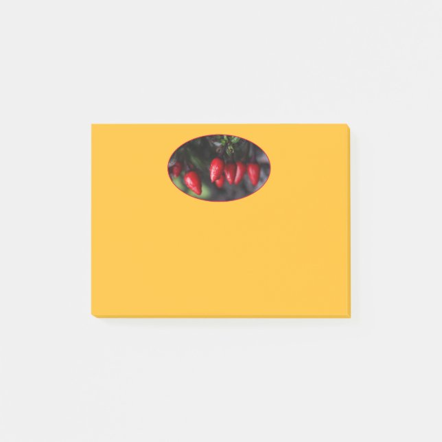 Red Hot Garden Salsa Chilli Peppers. Post-it Notes (Front)