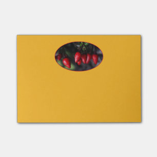 Red Hot Garden Salsa Chilli Peppers. Post-it Notes