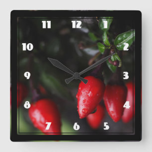 Red Hot Garden Salsa Chilli Peppers. Square Wall Clock