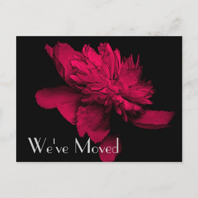 Red Hot Peony New Address Floral Art Postcard (Front)