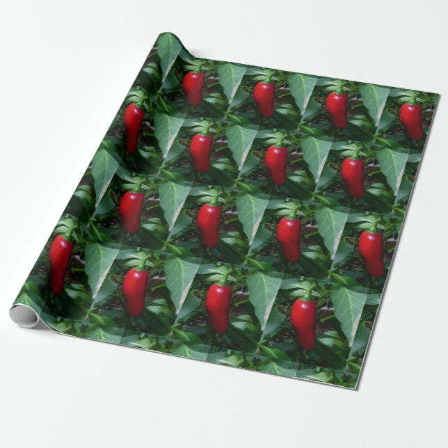 Red Hot Pepper Wrapping Paper (Unrolled)