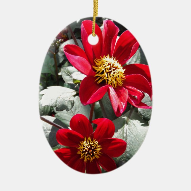 red hot pink daisy / daisies flowers ceramic tree decoration (Front)