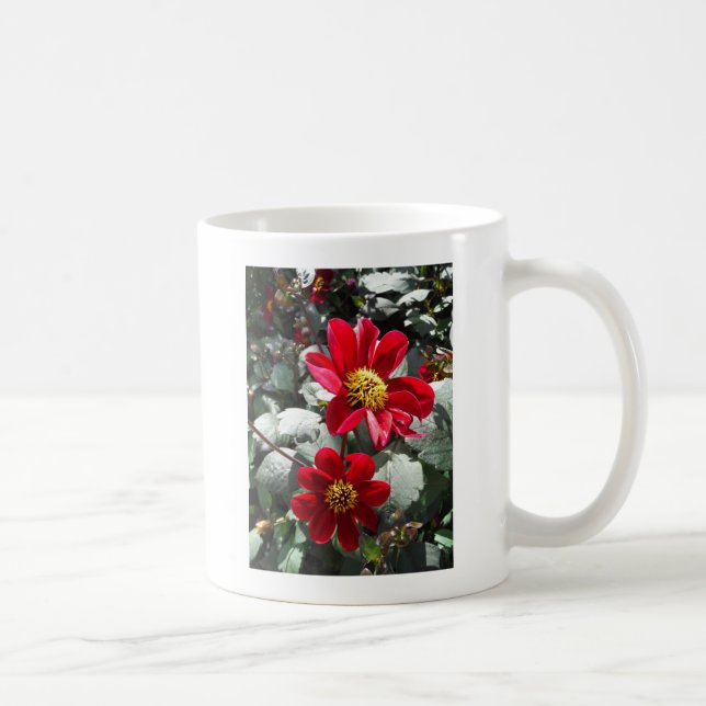 red hot pink daisy / daisies flowers coffee mug (Right)
