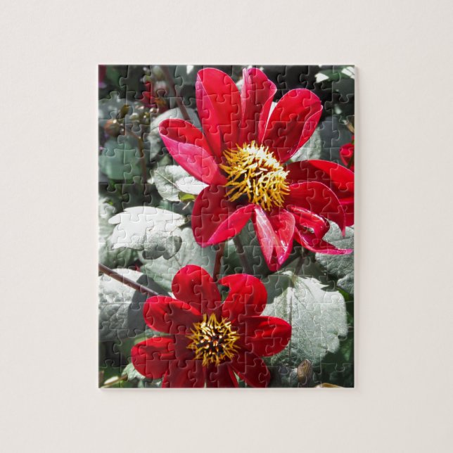 red hot pink daisy / daisies flowers jigsaw puzzle (Vertical)