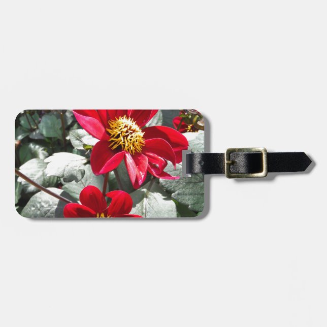 red hot pink daisy / daisies flowers luggage tag (Front Horizontal)