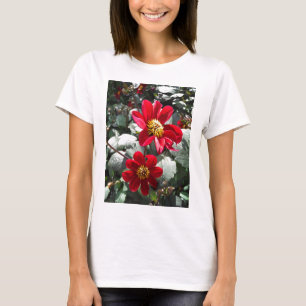 red hot pink daisy / daisies flowers T-Shirt
