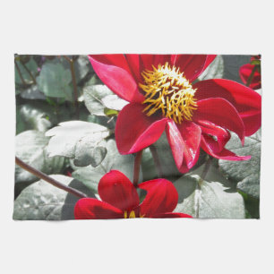 red hot pink daisy / daisies flowers tea towel