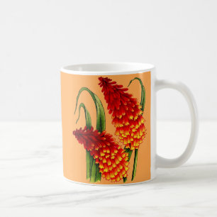red-hot pokers kniphofia flowers coffee mug