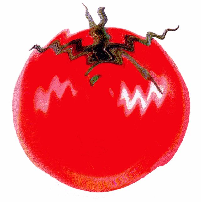 Red Hot Tomato Photo Sculpture Magnet (Front)