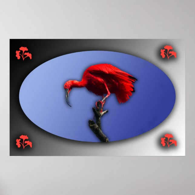 Red Ibis poster (Front)