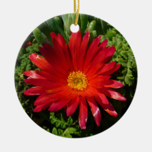 Red Ice Flower Colourful Carpet Plant Ceramic Tree Decoration