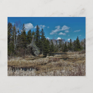 Red Island Pond Postcard