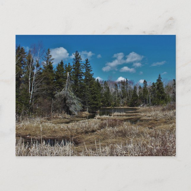 Red Island Pond Postcard (Front)