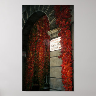 red ivy in London Poster