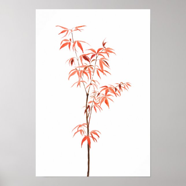 red Japanese dwarf maple tree watercolor  Poster (Front)
