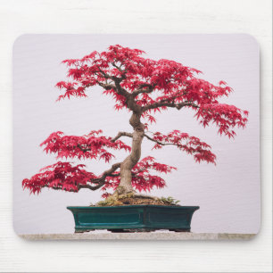 Red Japanese Maple Bonsai Tree Mouse Mat
