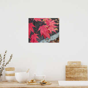 Red Japanese Maple Leaves Botancial Poster