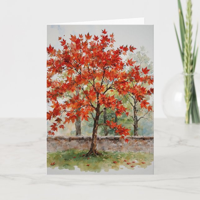 Red Japanese Maple Study C Card (Front)